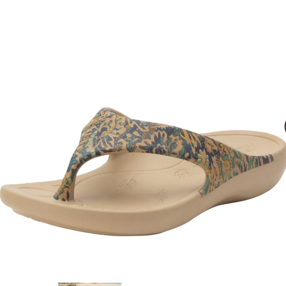 Alegria Ode Country Rode Printed Thong Sandal EU 38, US 7-7.5